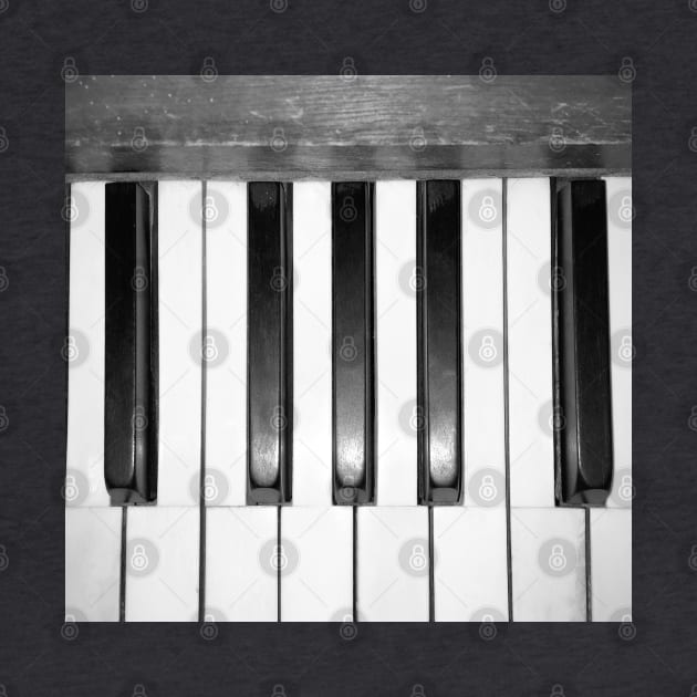 Black and White Piano Keys Photo by Supertonic